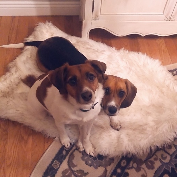 Meet your Posher, Emily - Picture 2 of 2